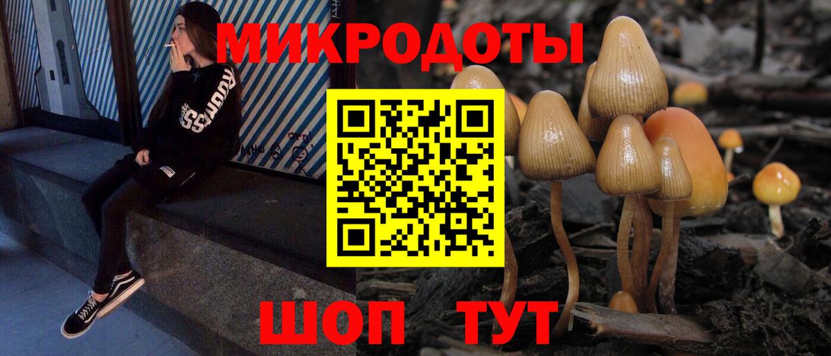 Псилоцибиновые грибы мицелий Горячий Ключ