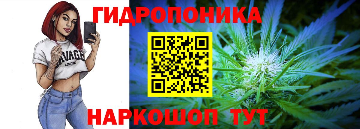 Канабис конопля Горячий Ключ